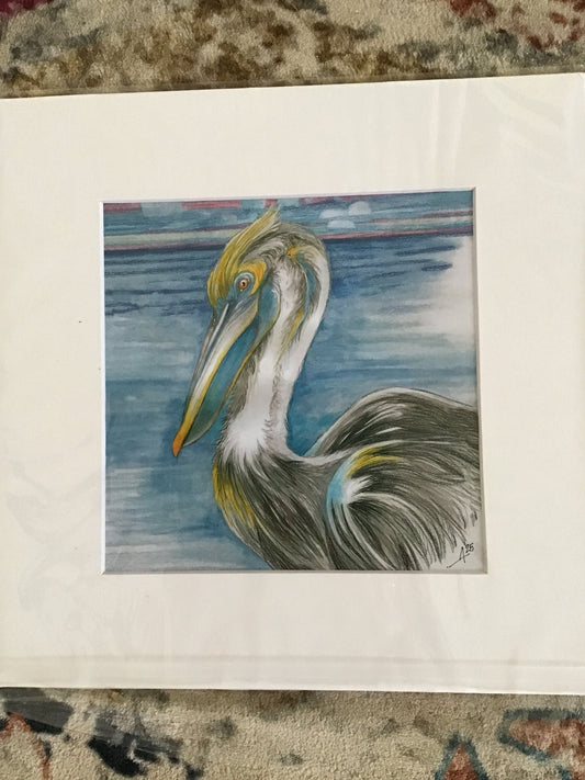 Pelican, print of original artwork